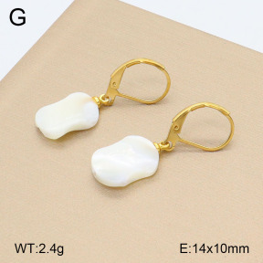 2E3003216avja-420  Stainless Steel Earrings