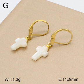 2E3003217avja-420  Stainless Steel Earrings