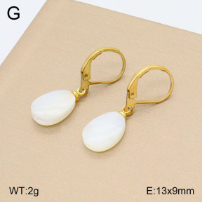 2E3003218avja-420  Stainless Steel Earrings