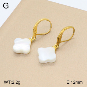2E3003219avja-420  Stainless Steel Earrings