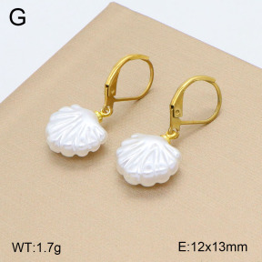 2E3003220vail-420  Stainless Steel Earrings