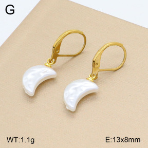 2E3003221vail-420  Stainless Steel Earrings