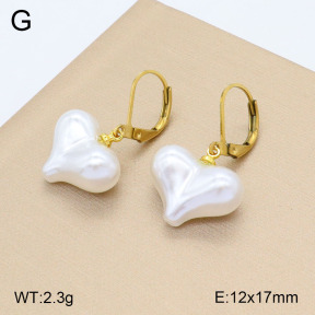 2E3003222vail-420  Stainless Steel Earrings