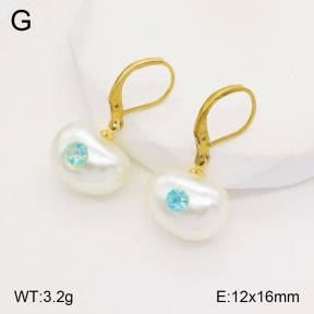 2E3003223avja-420  Stainless Steel Earrings