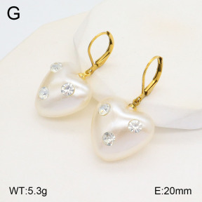 2E3003225aajl-420  Stainless Steel Earrings