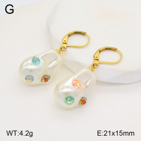 2E3003226aajl-420  Stainless Steel Earrings