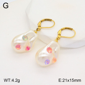 2E3003227aajl-420  Stainless Steel Earrings
