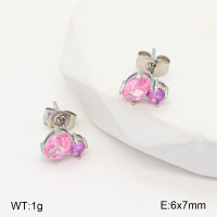 2E4004168vbpb-770  Stainless Steel Earrings