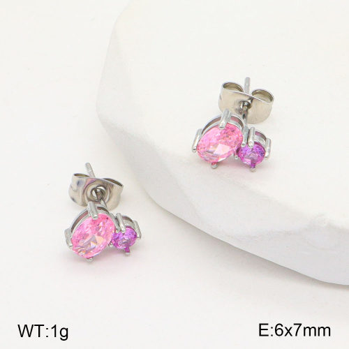 2E4004168vbpb-770  Stainless Steel Earrings