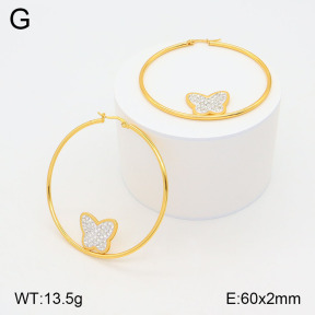 2E4004170baka-446  Stainless Steel Earrings