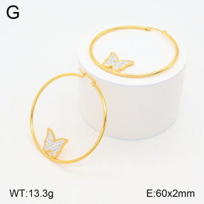 2E4004171baka-446  Stainless Steel Earrings