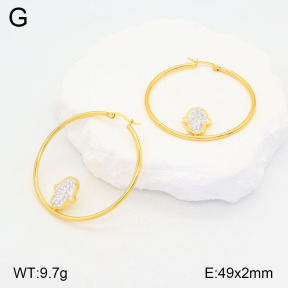 2E4004172baka-446  Stainless Steel Earrings