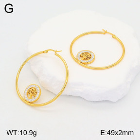 2E4004173baka-446  Stainless Steel Earrings