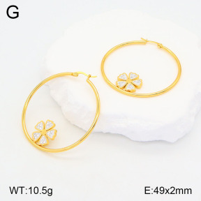 2E4004174baka-446  Stainless Steel Earrings