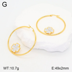 2E4004175baka-446  Stainless Steel Earrings