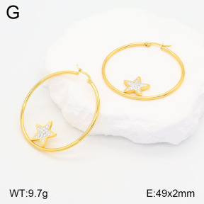2E4004176baka-446  Stainless Steel Earrings