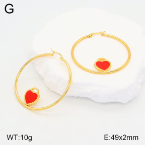 2E4004177baka-446  Stainless Steel Earrings