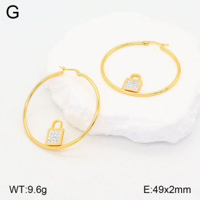 2E4004178baka-446  Stainless Steel Earrings