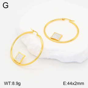 2E4004180baka-446  Stainless Steel Earrings