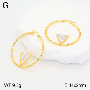 2E4004181baka-446  Stainless Steel Earrings