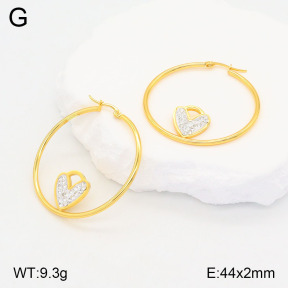 2E4004182baka-446  Stainless Steel Earrings