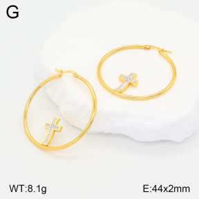 2E4004183baka-446  Stainless Steel Earrings