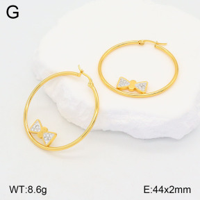 2E4004184baka-446  Stainless Steel Earrings