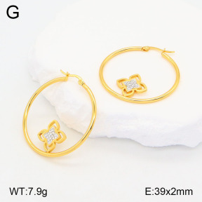 2E4004185baka-446  Stainless Steel Earrings