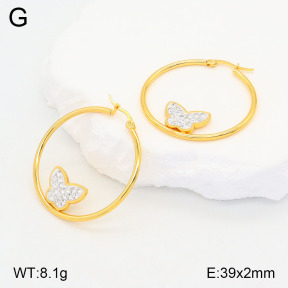 2E4004186baka-446  Stainless Steel Earrings