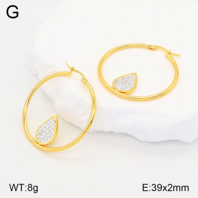 2E4004187baka-446  Stainless Steel Earrings