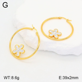 2E4004188baka-446  Stainless Steel Earrings