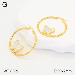 2E4004189baka-446  Stainless Steel Earrings