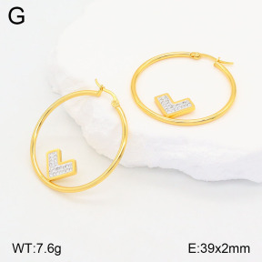 2E4004190baka-446  Stainless Steel Earrings