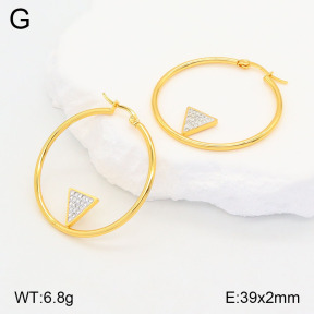 2E4004192baka-446  Stainless Steel Earrings