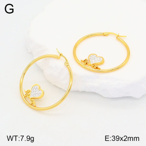 2E4004193baka-446  Stainless Steel Earrings