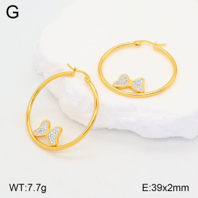 2E4004194baka-446  Stainless Steel Earrings