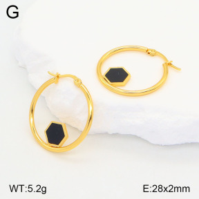 2E4004195aajl-446  Stainless Steel Earrings