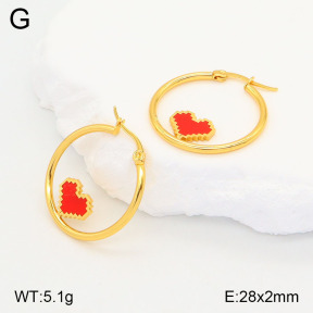 2E4004196aajl-446  Stainless Steel Earrings