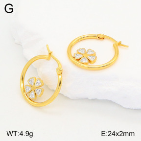 2E4004197aajl-446  Stainless Steel Earrings
