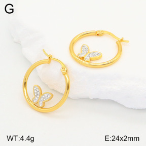 2E4004198aajl-446  Stainless Steel Earrings