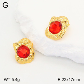 2E4004199baka-446  Stainless Steel Earrings