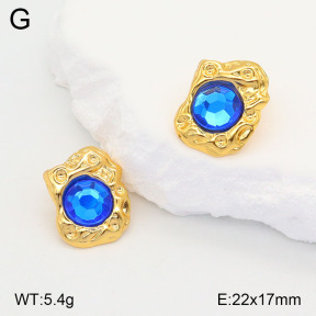2E4004200baka-446  Stainless Steel Earrings