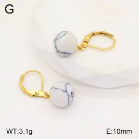 2E4004202vaia-420  Stainless Steel Earrings