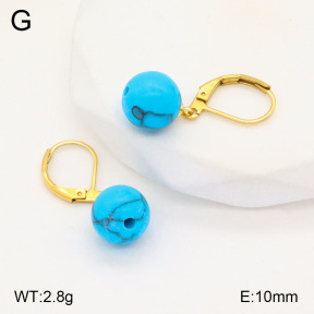 2E4004203vaia-420  Stainless Steel Earrings