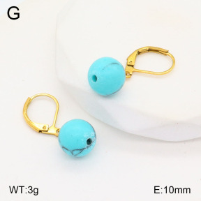 2E4004204vaia-420  Stainless Steel Earrings