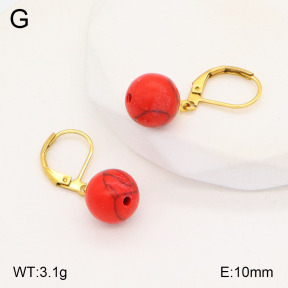 2E4004205vaia-420  Stainless Steel Earrings