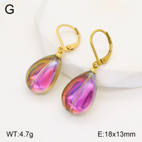 2E4004206vail-420  Stainless Steel Earrings