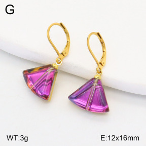 2E4004208vail-420  Stainless Steel Earrings