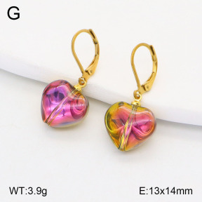 2E4004210vail-420  Stainless Steel Earrings