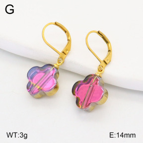 2E4004211vail-420  Stainless Steel Earrings